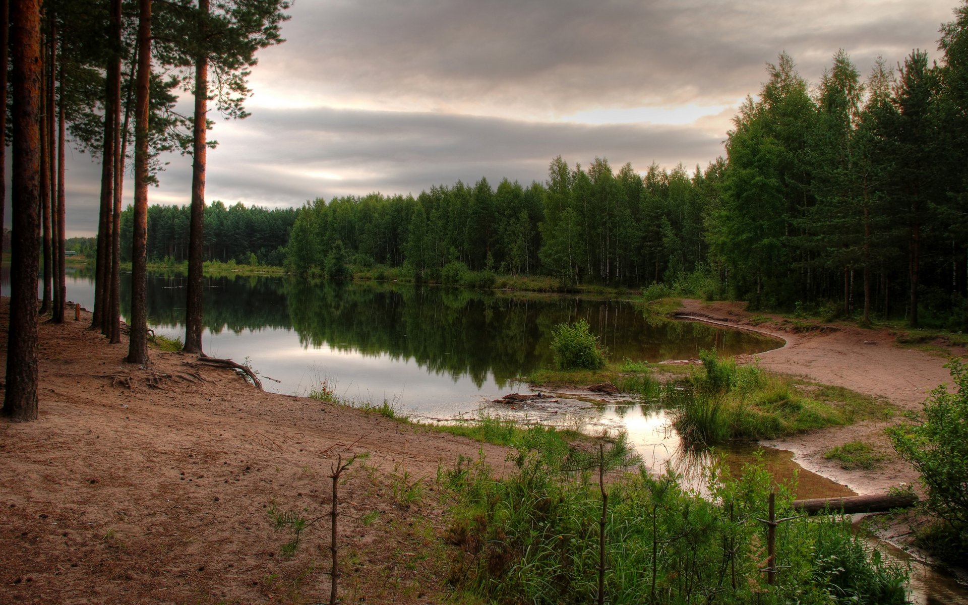 forêt plan d eau ciel