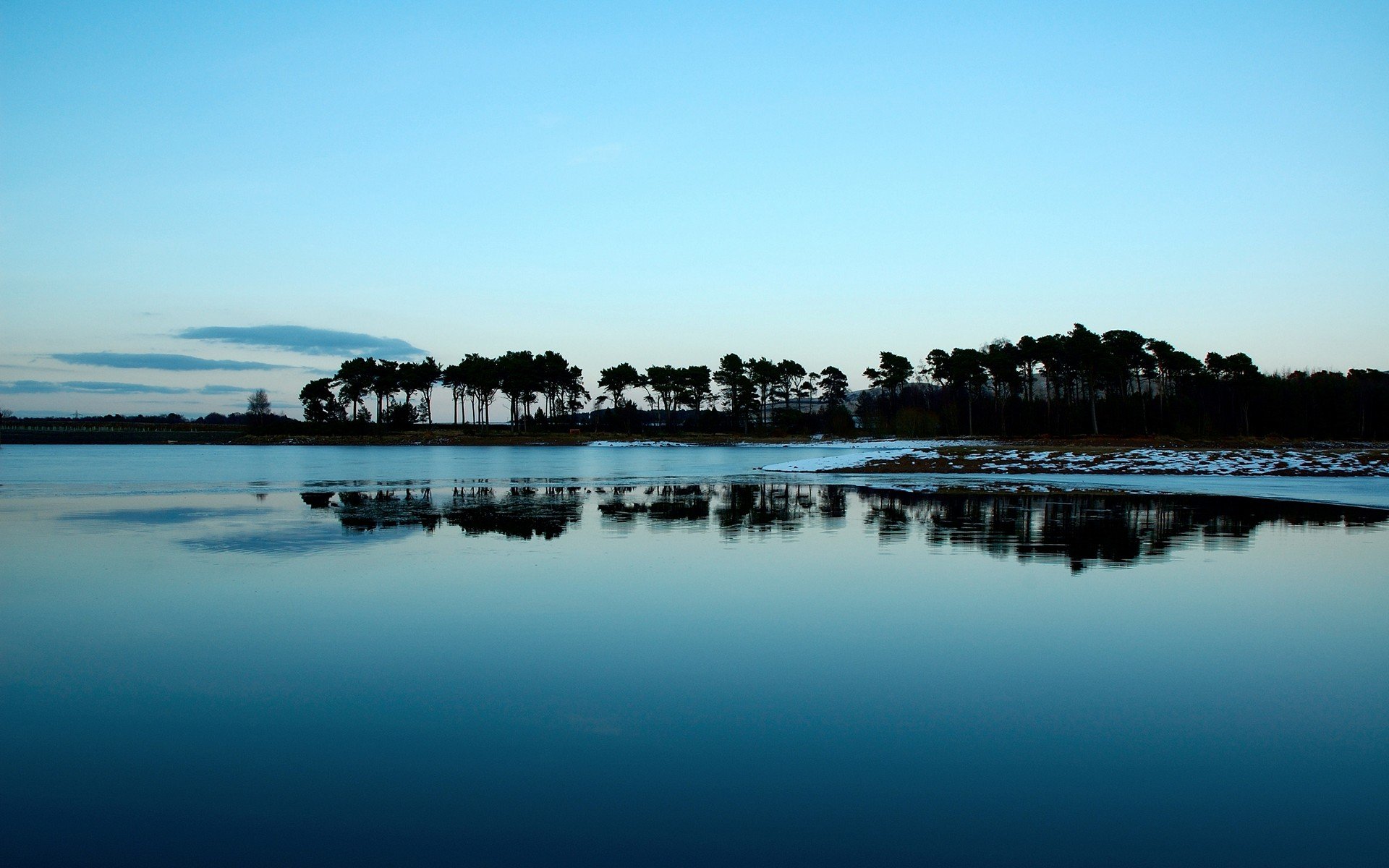 wasser bäume insel