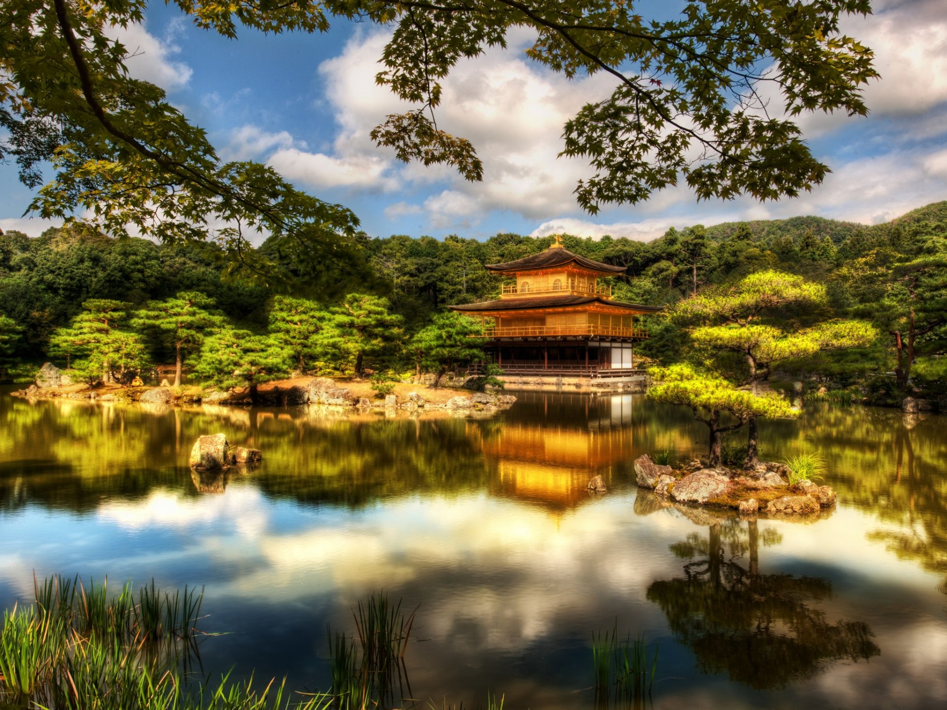 japón bosque lago