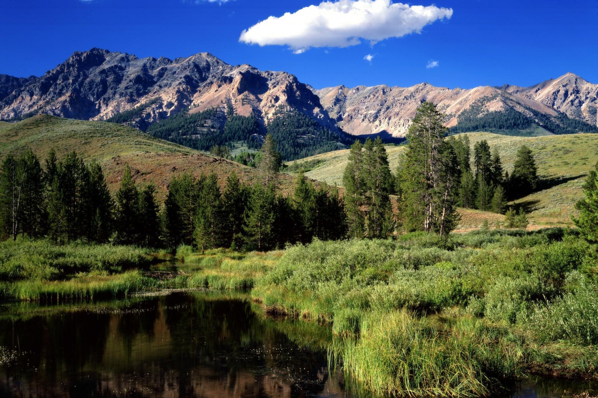 río montañas bosque