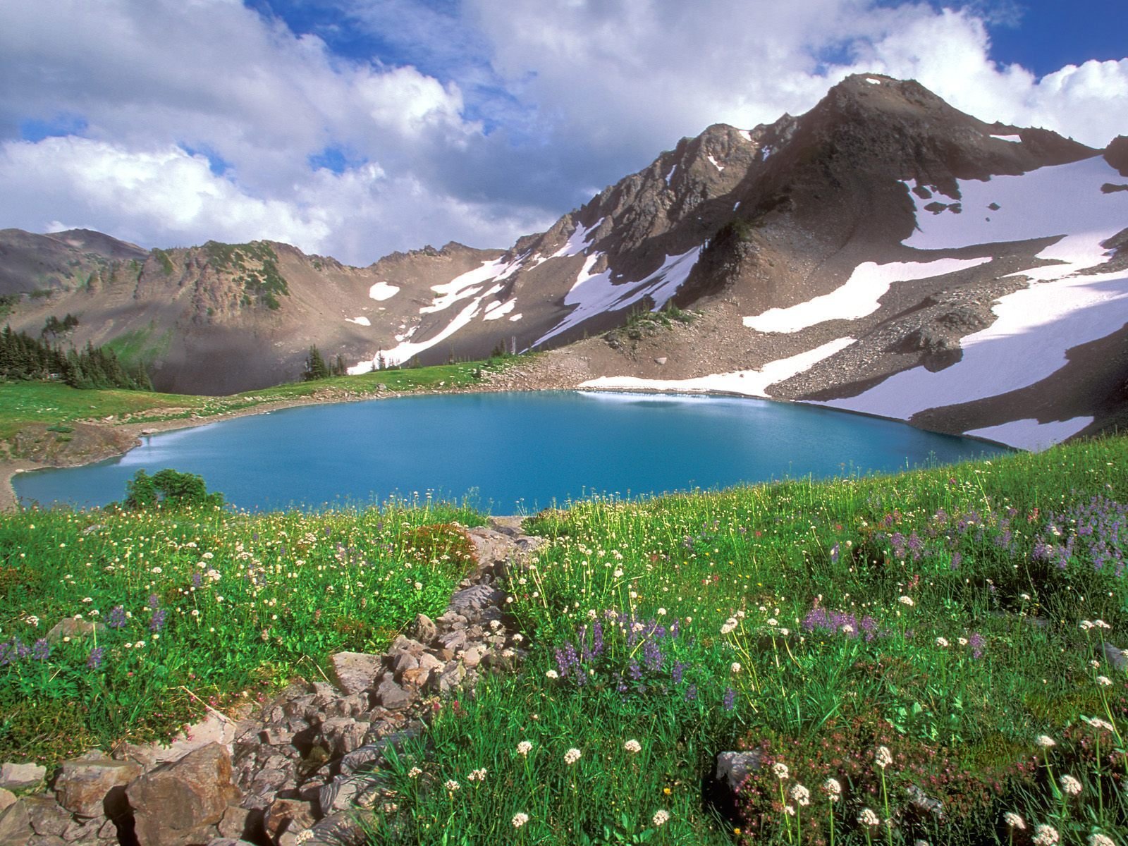 montagne lago fiori