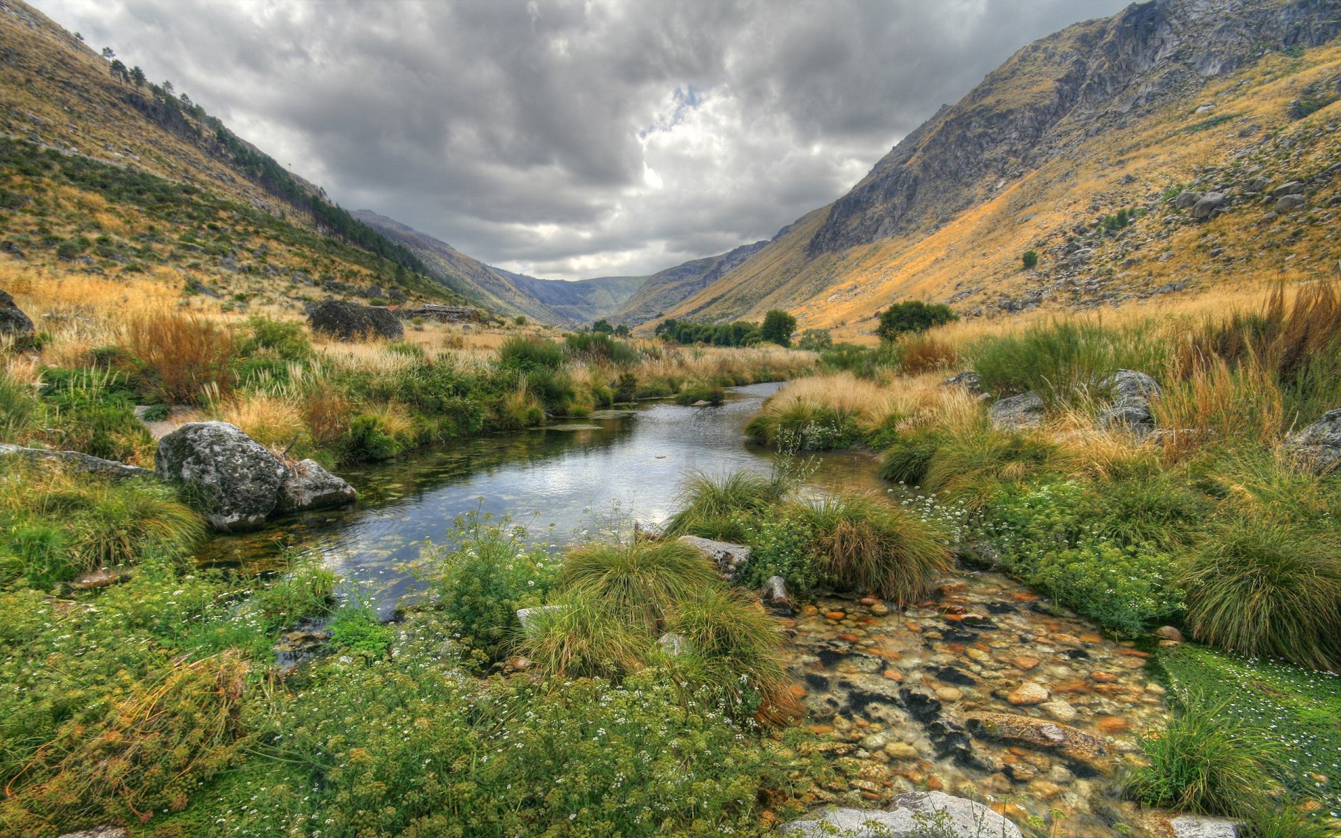 natura paesaggio acqua