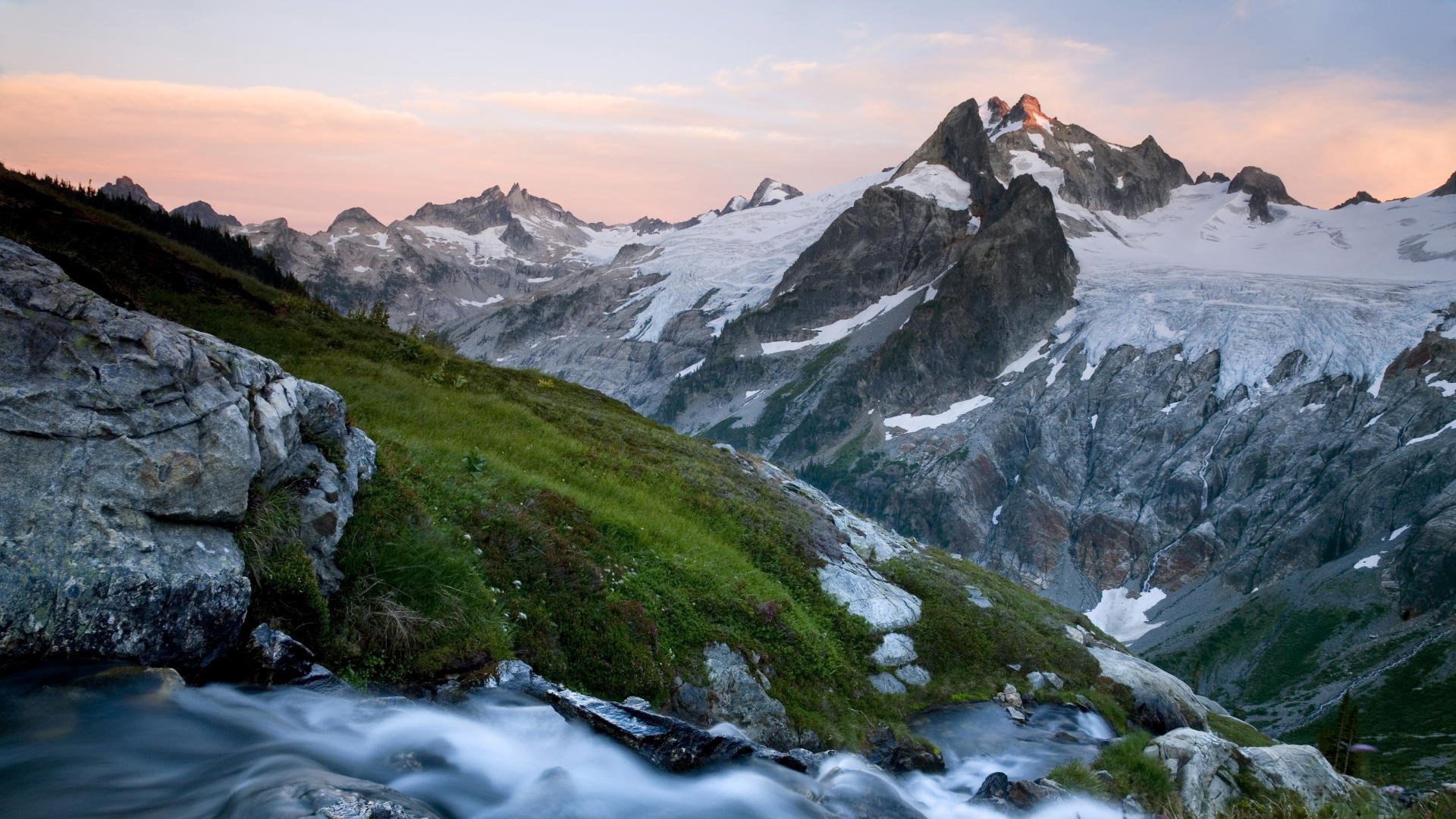 washington montagnes herbe