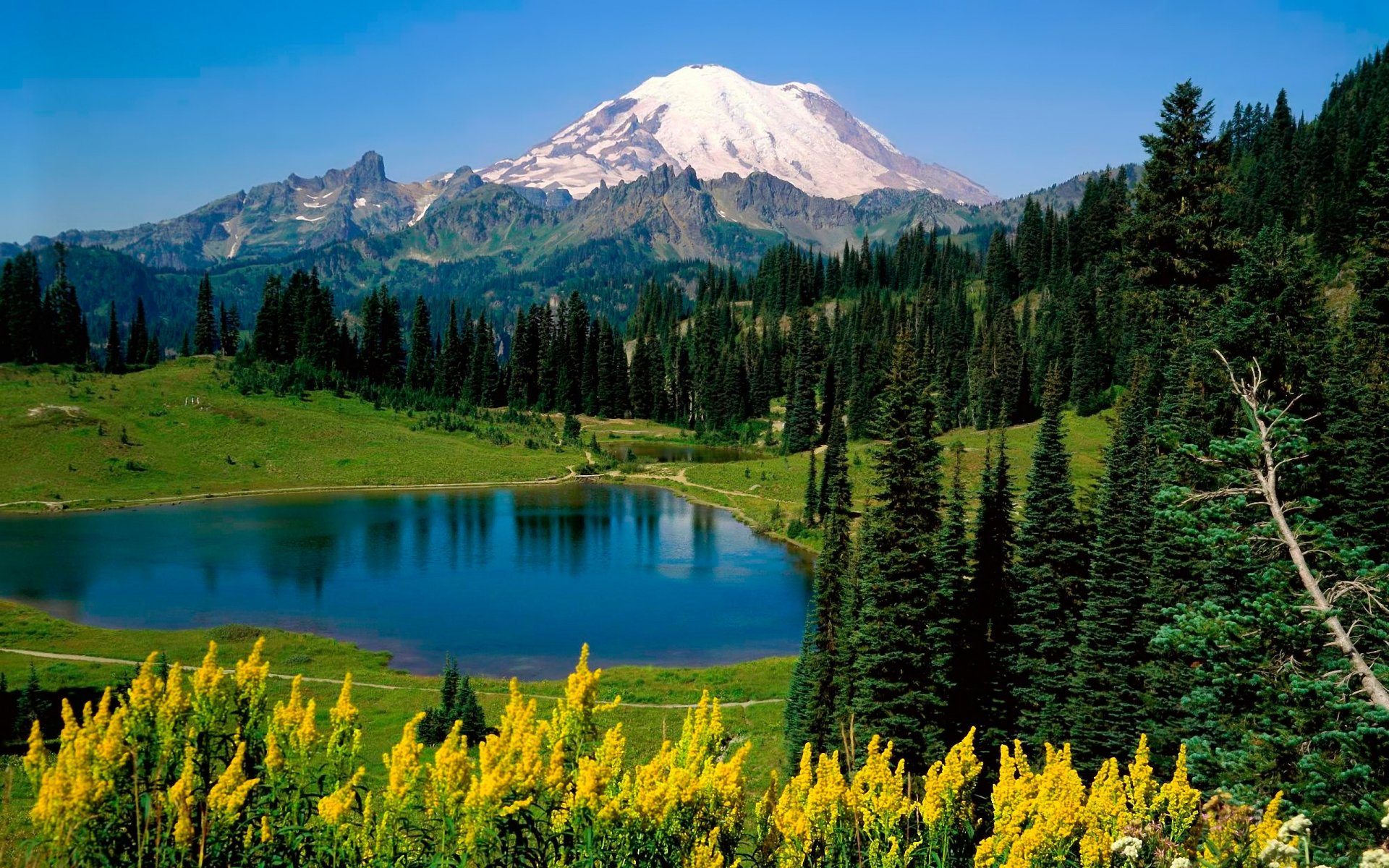 lac arbres montagnes