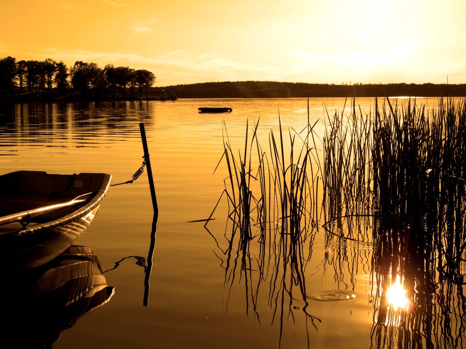 barca lago foresta tramonto seppia