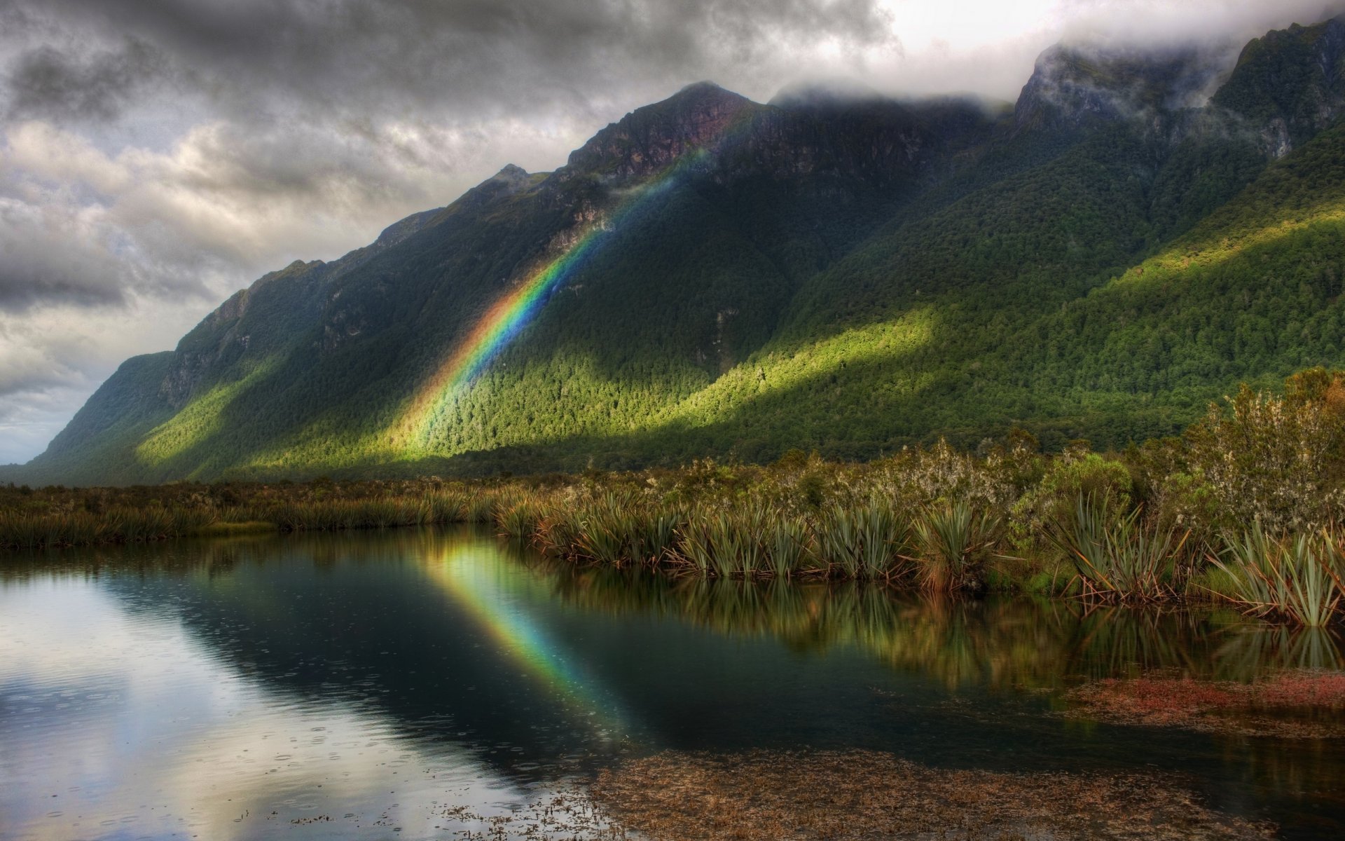 arcobaleno pioggia stagno alberi