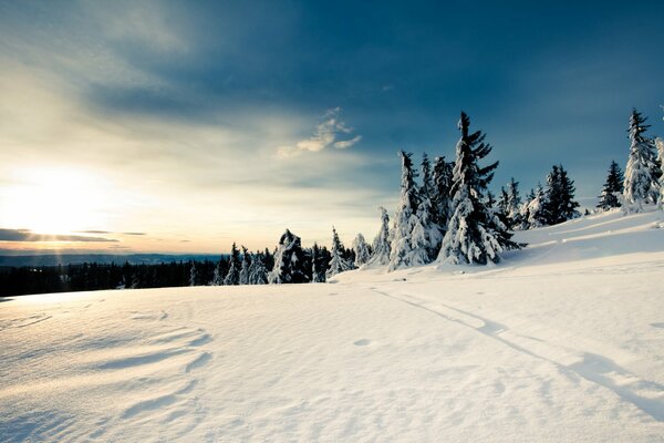 Nieve blanca y cielo azul en invierno