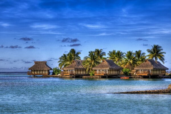 Vier Bungalows auf dem Wasser mitten im Meer und im Grünen