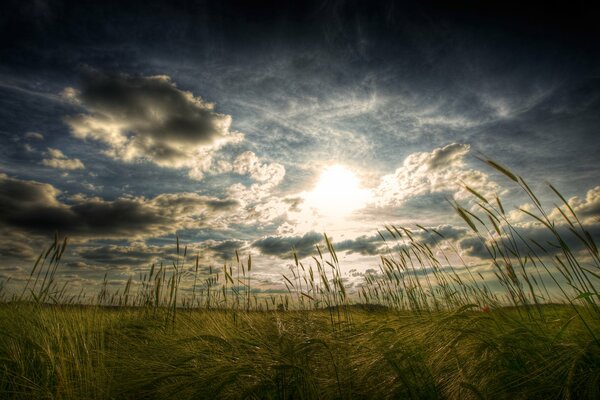 Spikelets on the background of cumulus clouds