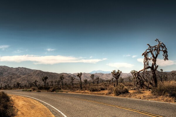 Camino al desierto durante la sequía