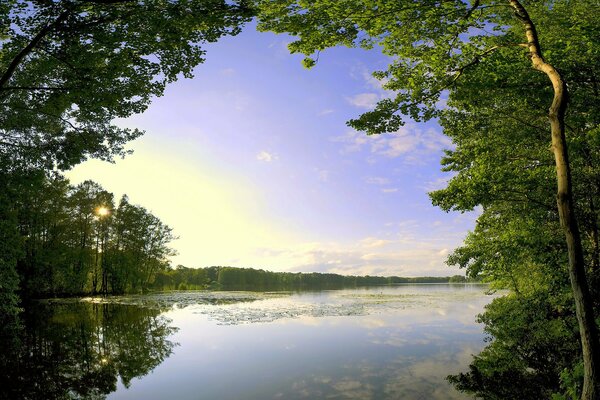 Błękitne jezioro rano wśród drzew