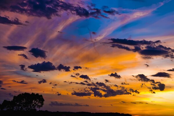 Beautiful sky at sunset and a lonely tree