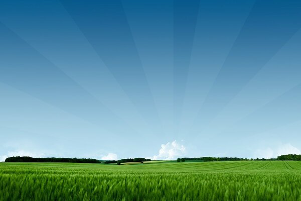 A green field against a blue sky