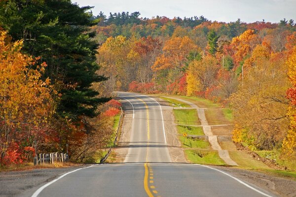 Carretera escénica en medio del paisaje otoñal