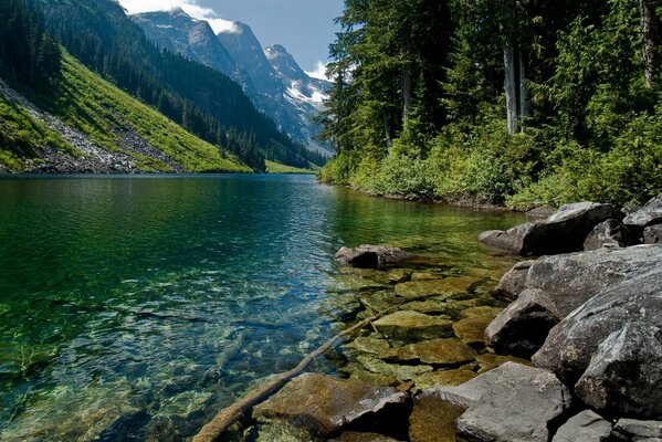 Une rivière de montagne frappante de beauté et de transparence