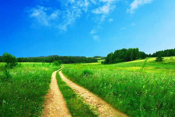 A road in a green field