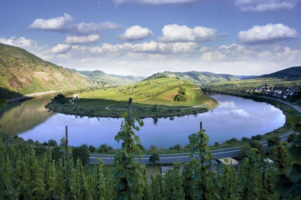 Île au milieu du lac et des arbres