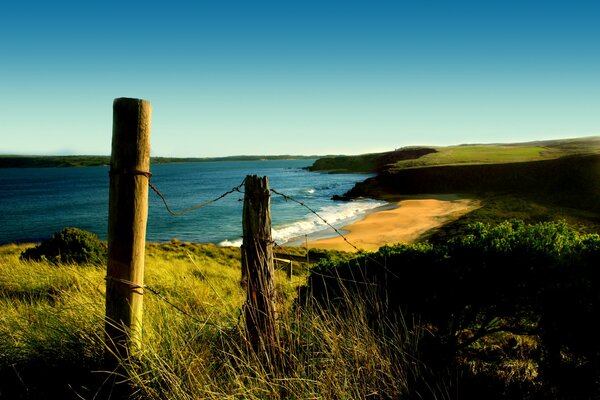 Herbe sur la côte de la mer et la clôture