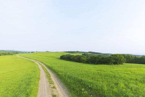 A narrow road that goes beyond the horizon