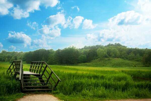 Jugoso Prado verde. Cielo infinito