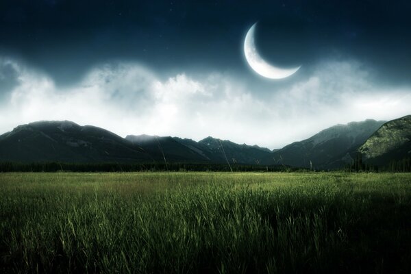 A field against a dark sky and a moon