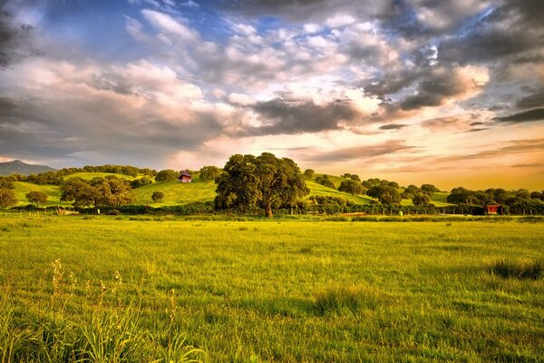 Der Himmel über dem Feld ist von Wolken bedeckt