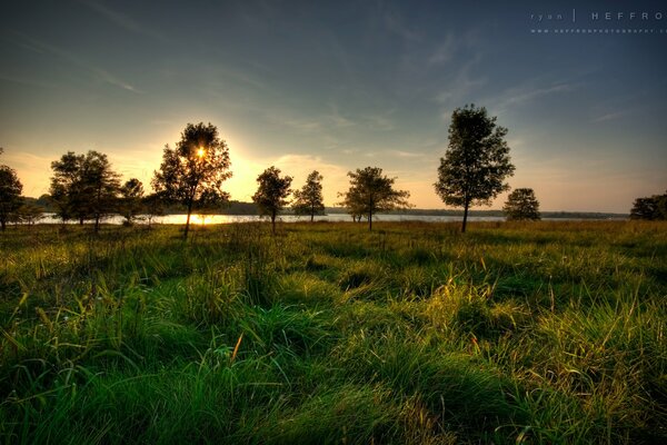 Paesaggio sullo sfondo del tramonto con fiume e alberi