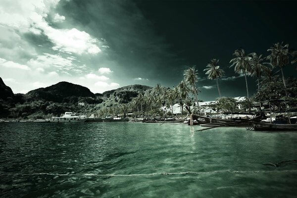 Strand mit Palmen am Meer