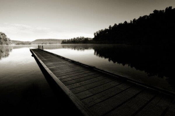 Foto en blanco y negro de un largo puente sobre aguas tranquilas cerca del bosque