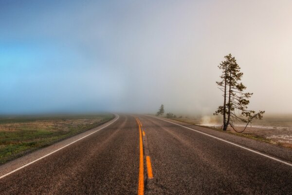 Camino vacío envuelto en niebla