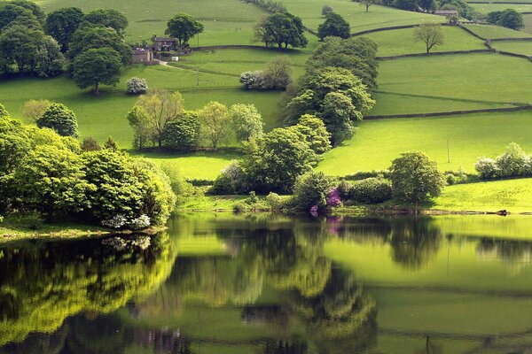 Belle photo sur le paysage de bureau