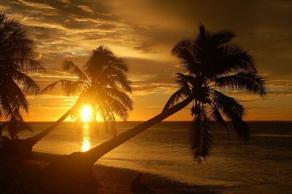 Foto mit Palmen am Strand und einem schönen Sonnenuntergang