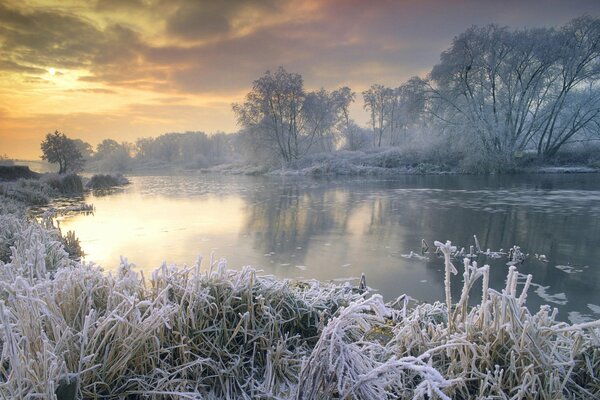 Knackiger Frost am Wintersee