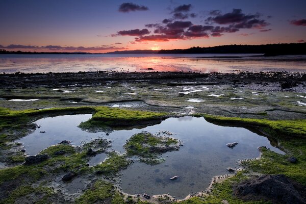 Lake shore at lilac sunset