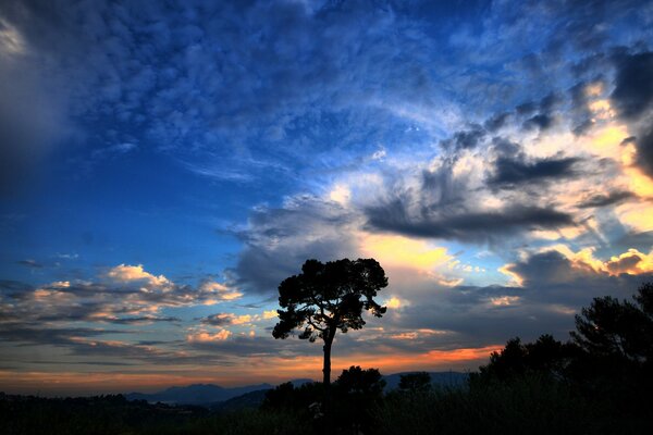 Rosa blaue Wolken, die bei Sonnenuntergang von der Sonne beleuchtet werden