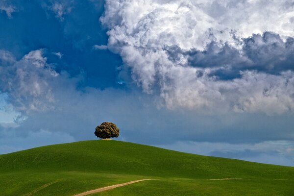 A green hill against a bright blue sky