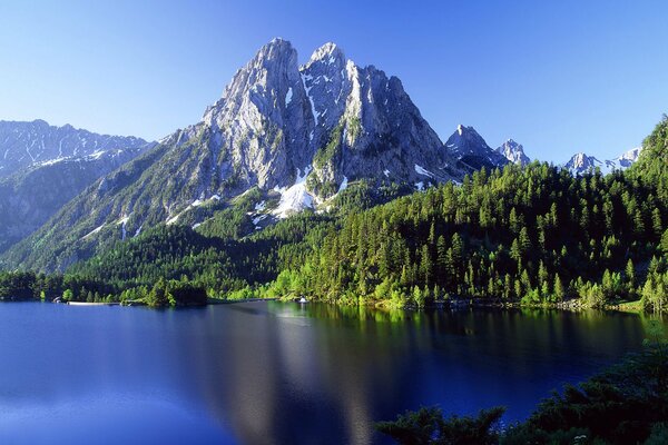 Llegar al cielo Bosque y montañas