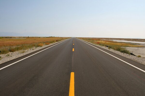 An empty road stretching into the distance