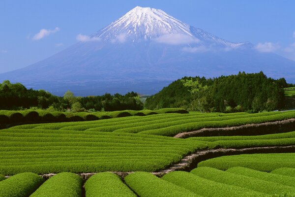 Monte Fuji tra le nuvole. Un bel paesaggio