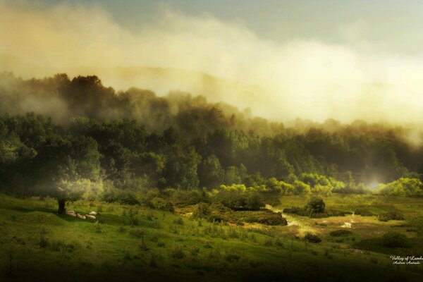 Natura in una foschia nebbiosa di nuvole