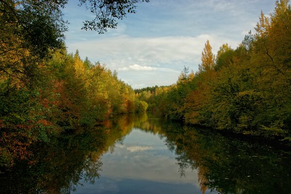 Ein schöner Herbstwald wird von einem Fluss geteilt