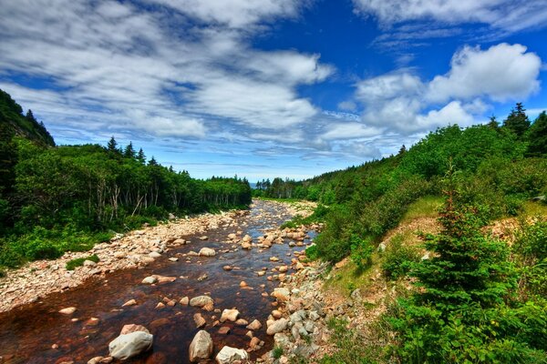 Flusslandschaft mit Steinen im Wald