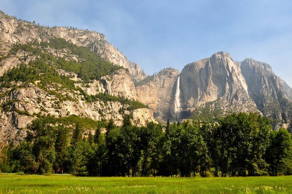 Landscape of the USA with mountains and forest