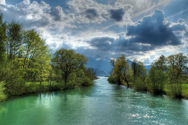 Sunny day on the river bank in the forest