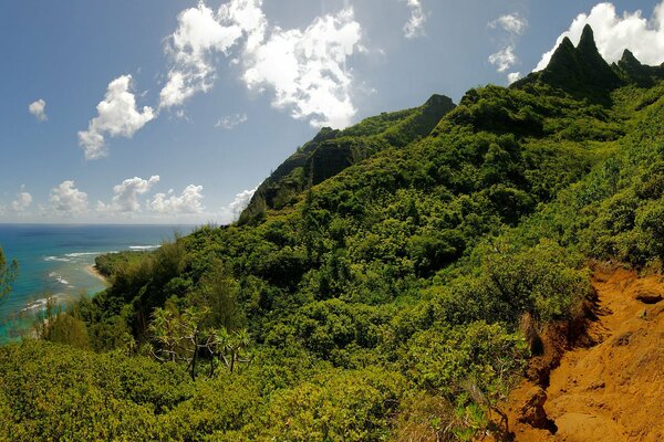 Rocky descent to the cloudy coast