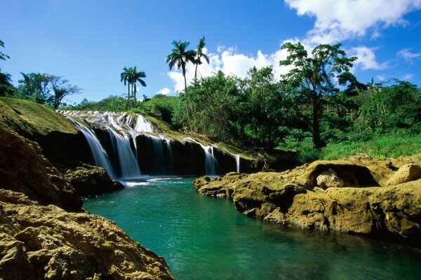 A small waterfall with palm trees on the banks