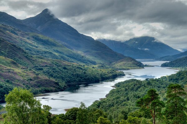 Mountain river among the green mountains