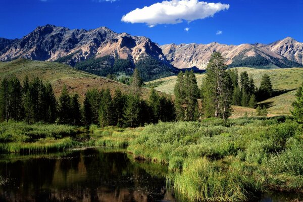 Río forestal en medio de altas montañas