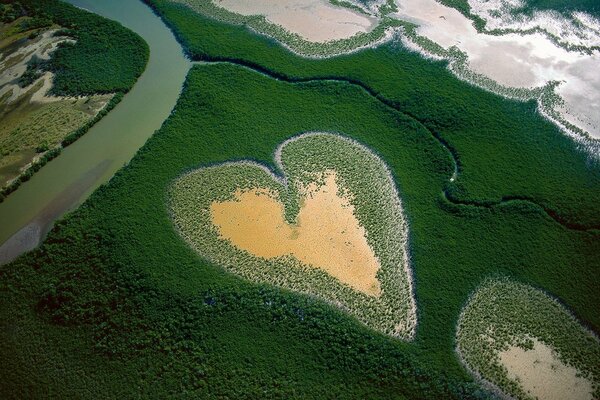 View of the field in the form of a heart from a bird s-eye view