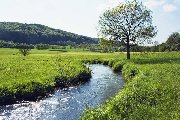 Ein schnell gewundener Fluss schneidet das Wiesengrün in zwei Hälften